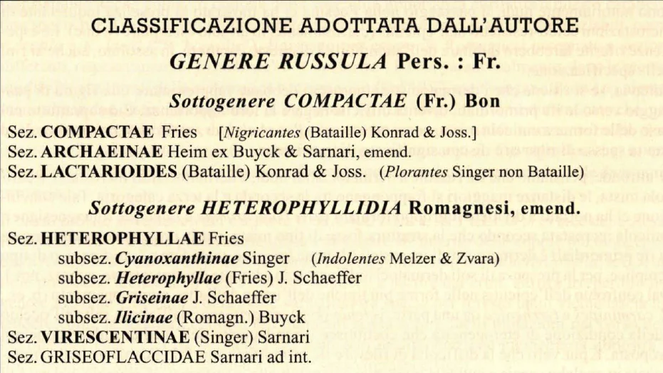 Aggiornamenti Nomenclatura